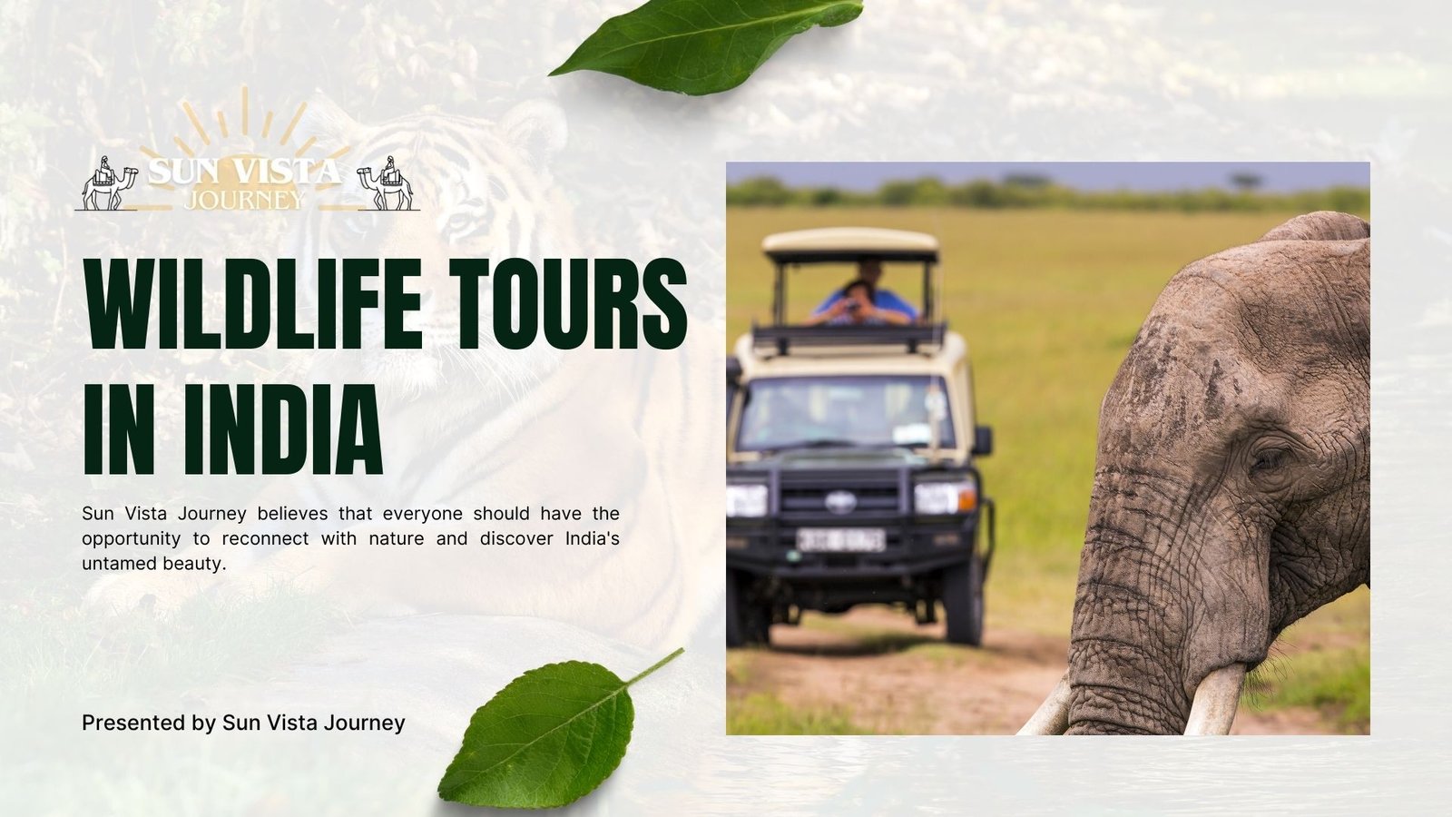 Wildlife Tours in India Under Budget From Jungle Safaris to Nature Walks